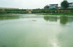 Omakulam - 14164.01 acres(Approximately)