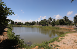 Kanni Amman Koil Street Pond - 5260.918000000001 acres(Approximately)